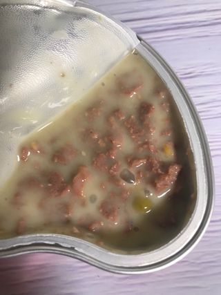 비타크래프트 조에시 하트캔 85g 강아지 습식캔 10캔 — 5점을 준 리뷰어가 2021년 7월 올린 사용 사진