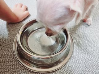 힝구님이 올린 리뷰 사진 4
