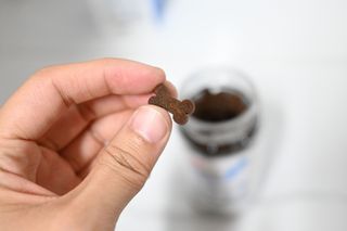 랩솔루션 강아지 영양제 3종 중 택 1 — 5점을 준 리뷰어가 2022년 5월 올린 사용 사진
