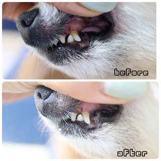 사슴꽃눈물님이 올린 리뷰 사진 2