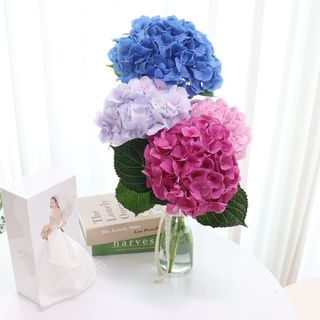 엄지콩님이 올린 리뷰 사진 1
