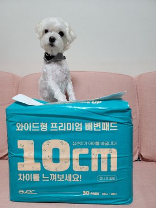 아베크 펫 와이드 프리미엄 대형 애견 강아지 배변 패드 30매 1팩 80g — 5점을 준 리뷰어가 2021년 7월 올린 사용 사진