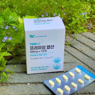 [푸름웰니스] 프리미엄 엽산 (500mgX120정) — 5점을 준 리뷰어가 2022년 6월 올린 사용 사진