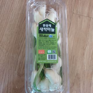 오세요님이 올린 리뷰 사진 1