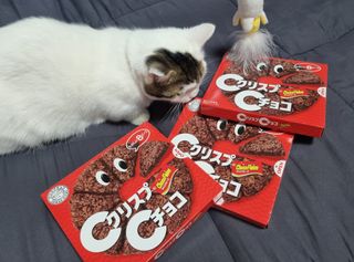 네몽이님이 올린 리뷰 사진 3
