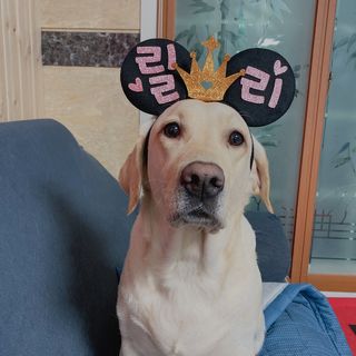 Lilly❤️님이 올린 리뷰 사진 2