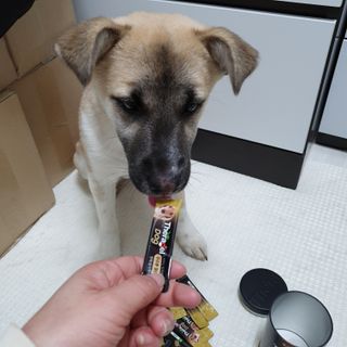 발라당님이 올린 리뷰 사진 3