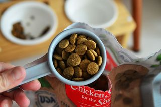 치킨수프 클래식 독 2.04KG — 5점을 준 리뷰어가 2021년 6월 올린 사용 사진
