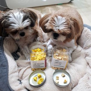 페페로니 진짜 프리바이오틱스 치즈+치즈고구마 180g+180g — 5점을 준 리뷰어가 2021년 7월 올린 사용 사진