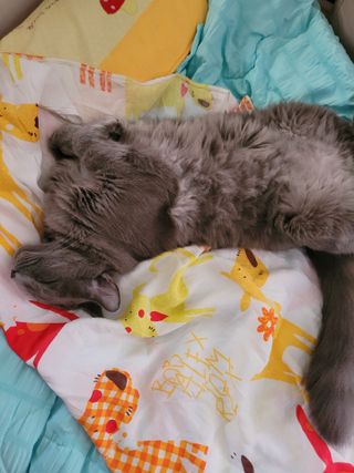 효성님이 올린 리뷰 사진 3