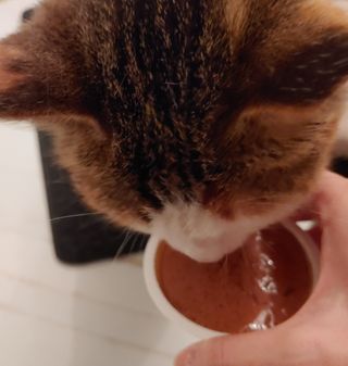 horim님이 올린 리뷰 사진 3