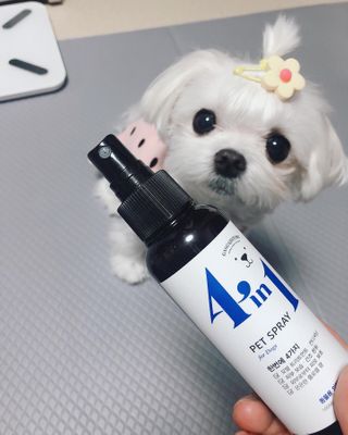 뚜덩맘님이 올린 리뷰 사진 3