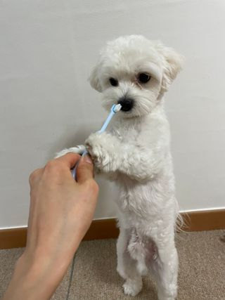 냥냥이님이 올린 리뷰 사진 2