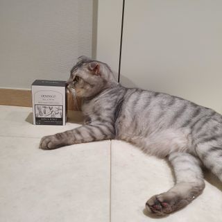에디터보나님이 올린 리뷰 사진 1