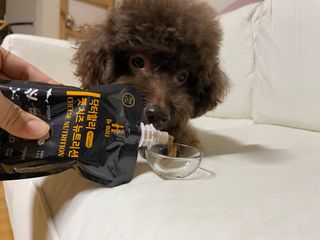 콩지님이 올린 리뷰 사진 1