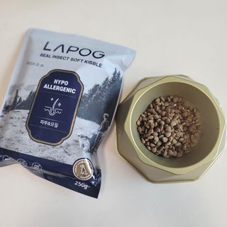 [푸디웜] 라포그 리얼인섹트 소프트키블 스킨 1KG — 5점을 준 리뷰어가 2022년 9월 올린 사용 사진