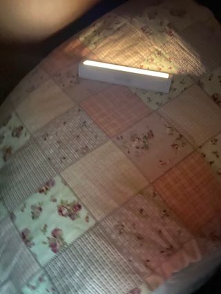 yyyy님이 올린 리뷰 사진 2