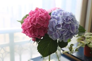 샐리님이 올린 리뷰 사진 2