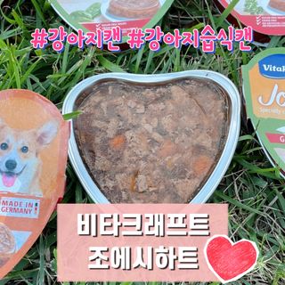 비타크래프트 조에시 하트캔 85g 강아지 습식캔 10캔 — 5점을 준 리뷰어가 2021년 9월 올린 사용 사진