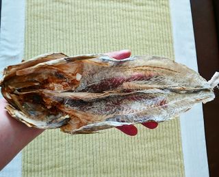 [오늘바스켓] 용대리 손질하늘태 130g — 5점을 준 리뷰어가 2021년 5월 올린 사용 사진