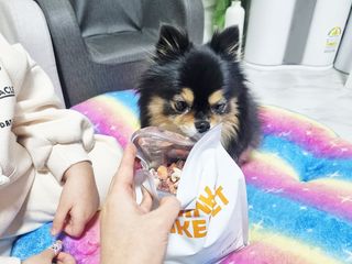 복떵이맘2님이 올린 리뷰 사진 2