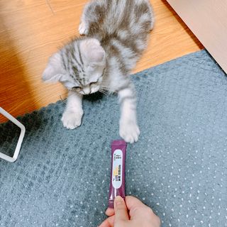 펭뽀꾸님이 올린 리뷰 사진 4