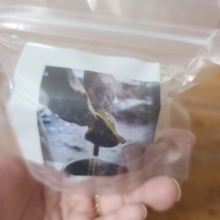 로은맘님이 올린 리뷰 사진 3