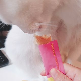 페페로니 맛있는 스틱 - 무항생제 닭고기 15개 + 알래스카 연어 15개 — 5점을 준 리뷰어가 2021년 8월 올린 사용 사진