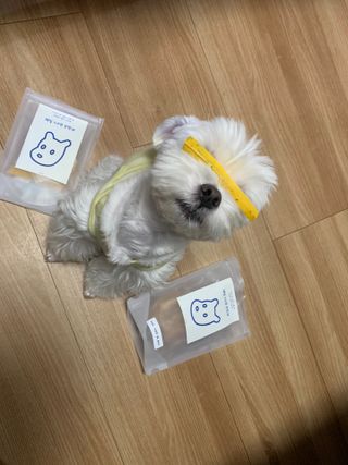 bominnnn님이 올린 리뷰 사진 2