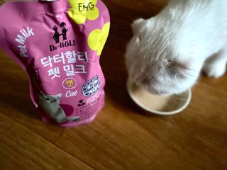 화이집사님이 올린 리뷰 사진 1