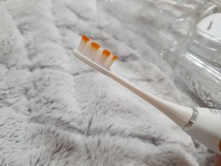 하린님이 올린 리뷰 사진 3