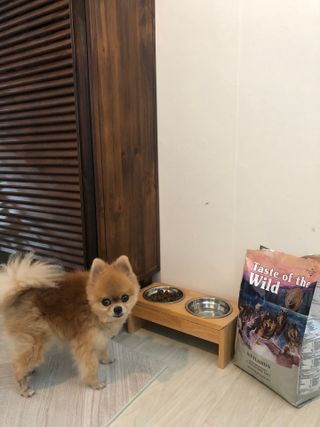 우희베베님이 올린 리뷰 사진 2