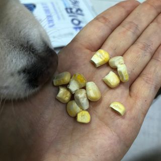 여름님이 올린 리뷰 사진 1