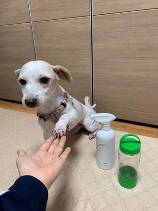 꾸루쿡님이 올린 리뷰 사진 2