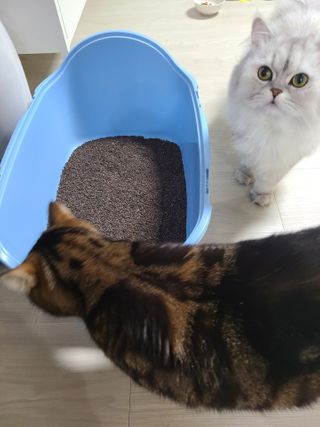 나윤나윤님이 올린 리뷰 사진 2