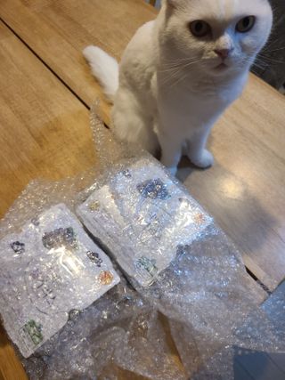논지님이 올린 리뷰 사진 1