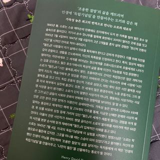 다현님이 올린 리뷰 사진 2