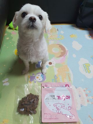 My Pet Care 천연단백질 관절건강에 개좋아 — 5점을 준 리뷰어가 2021년 3월 올린 사용 사진