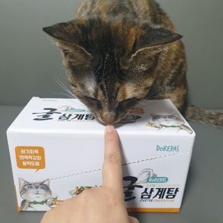 이째님이 올린 리뷰 사진 1