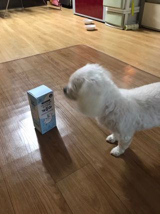 뾰로롱꼬마마녀님이 올린 리뷰 사진 3