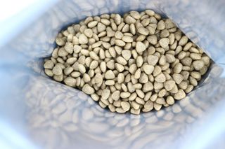 [푸디웜] 라포그 리얼인섹트 소프트키블 스킨 1KG — 4.5점을 준 리뷰어가 2022년 9월 올린 사용 사진