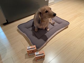 치토스님이 올린 리뷰 사진 2