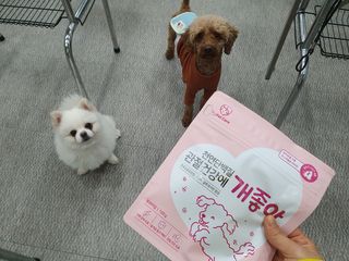 My Pet Care 천연단백질 관절건강에 개좋아 — 5점을 준 리뷰어가 2021년 2월 올린 사용 사진