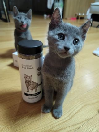 서빵맘님이 올린 리뷰 사진 1