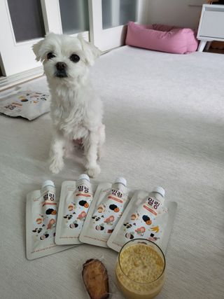 뽀오오옹님이 올린 리뷰 사진 2