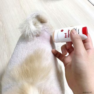 [레드허니밤]자유펫 고양이 강아지 발바닥 밤 14g — 5점을 준 리뷰어가 2021년 10월 올린 사용 사진