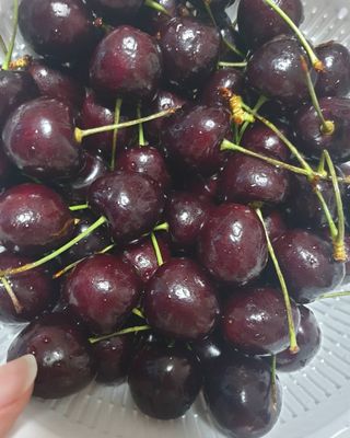 뽀야님이 올린 리뷰 사진 3