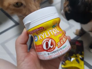 솔탄이love님이 올린 리뷰 사진 2
