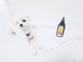 또딩님이 올린 리뷰 사진 2