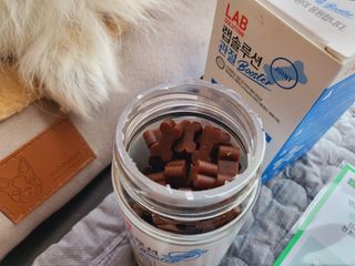 랩솔루션 강아지 영양제 3종 중 택 1 — 5점을 준 리뷰어가 2022년 5월 올린 사용 사진